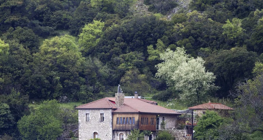 Το σπίτι με τα κεραμίδια ανάμεσα στα δέντρα